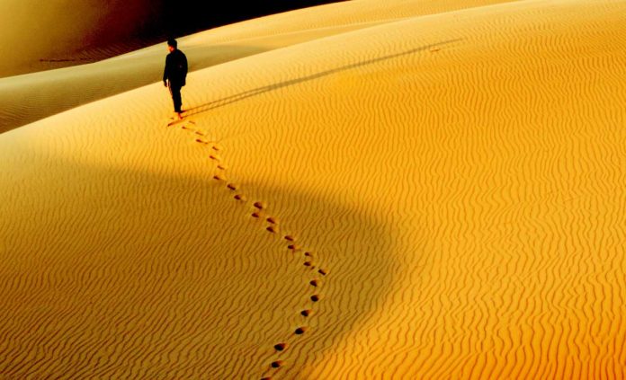 Dune - film del 2021 contro 1984