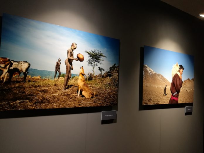 Steve McCurry - un'area della mostra con due scatti, uno rappresentanteuno spazio verde in Africa, un bambino africano nudo in pedi di fronte ad un cane seduto che lo giuarda, il bambino tiene in mano una specie di pallone.