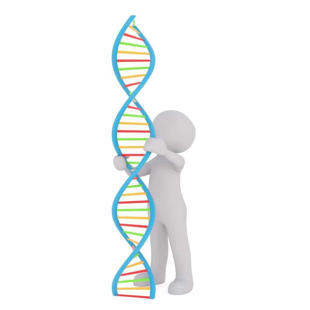 Omino bianco mentre mantiene in piedi l'elica di DNA tutta colorata.
