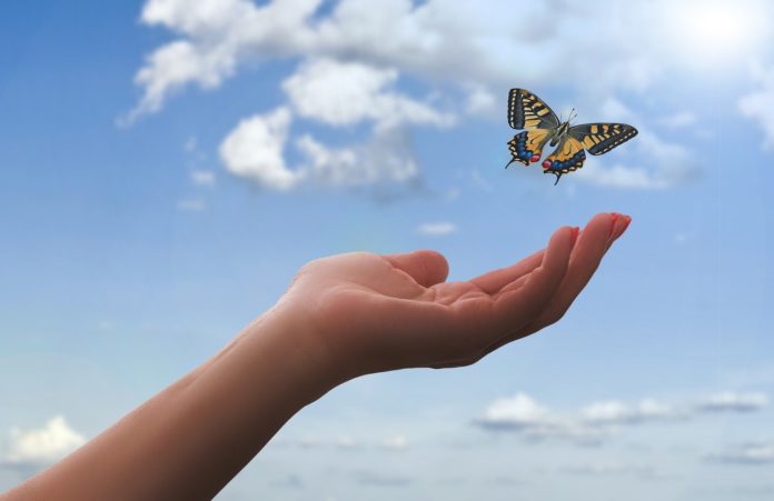 Suicidio Assistito - una mano aperta verso il cielo libera una farfalla colorata che vola in alto