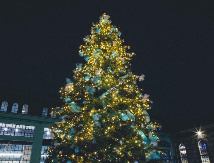 ricerca sul cancro - un gigantesco albero di natale addobbato in un apiazza con degli edifici intorno