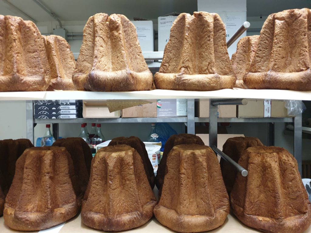 tanti pandoro in fila impilate su griglie da forno