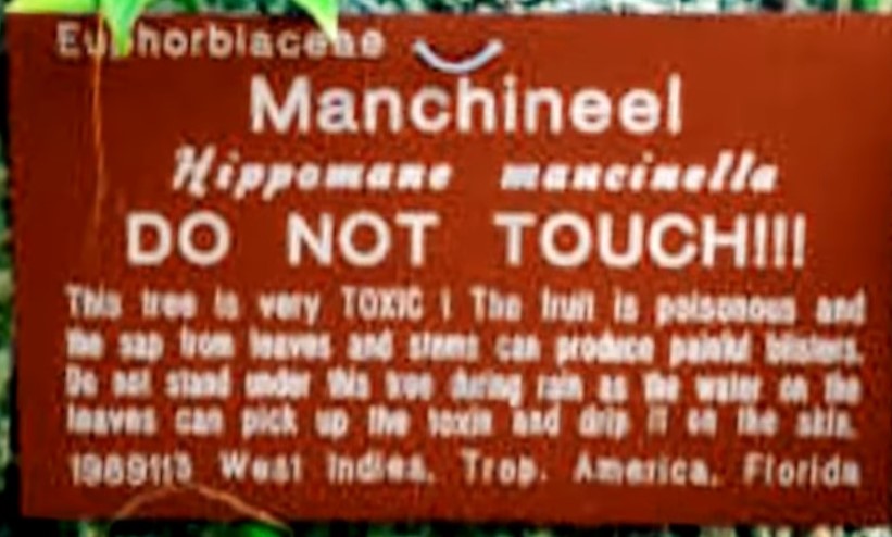 albero della morte - un cartello rosso scritto in spagnolo che mette in guardia dalla presenza di alberi pericolosi