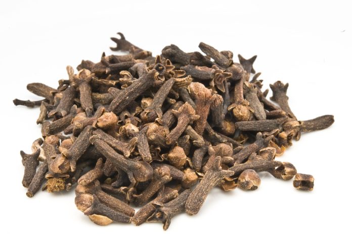 clove, olio essenziale, aromaterapia, doterra. Sfondo bianco con un mucchietto di chiodi di garofano.