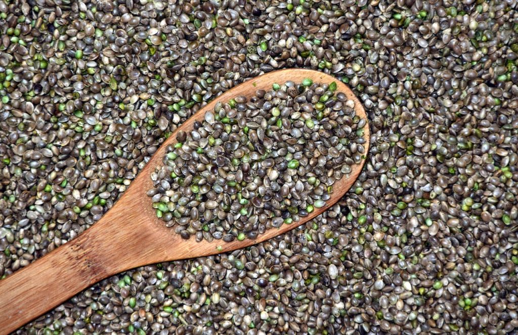 Grande quantità di semi di Canapa con un cucchiaio di legno appoggiato sopra che contiene altri semi. 