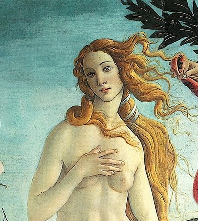 Botticelli - il dipinto della Venere nuda in piedi sopra una conchiglia e intorino a lei degli angeli sospesi e alla sua sinistra una donna che le porta un mantello rosso. La Venere ha lunghissimi capelli biondi e con questi si copre il basso ventre