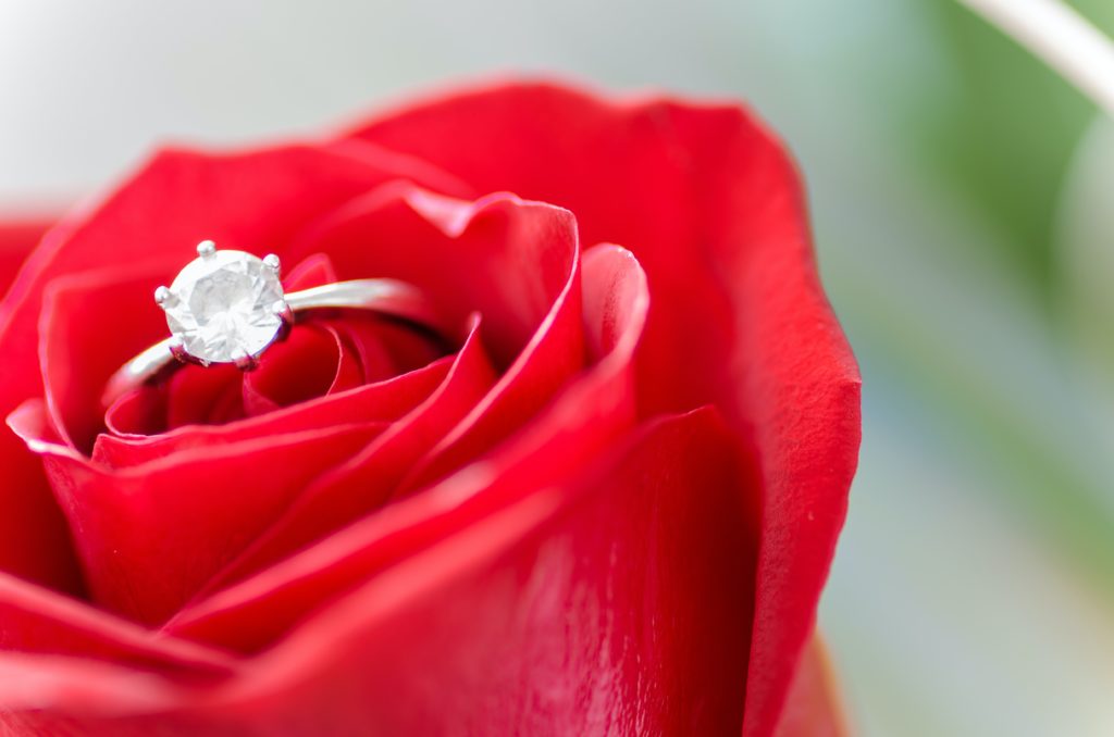 JGT- Un anello con montatura semplice color argento con diamante incastonato è poggiato su una rosa color rosso.
