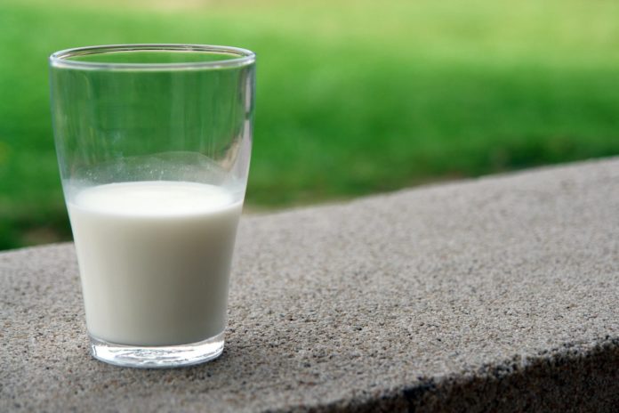 Vitamina B8, proprietà, integratori alimentari, alimentazione. Un bicchiere di vetro con all'interno del latte, poggiato su un muretto in pietra.