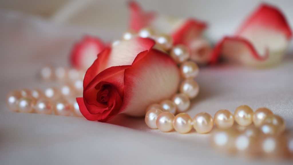 JGT- Filo di perle color avorio su una rosa rossa e bianca. Sullo sfondo bianco alcuni petali caduti dalla rosa. 