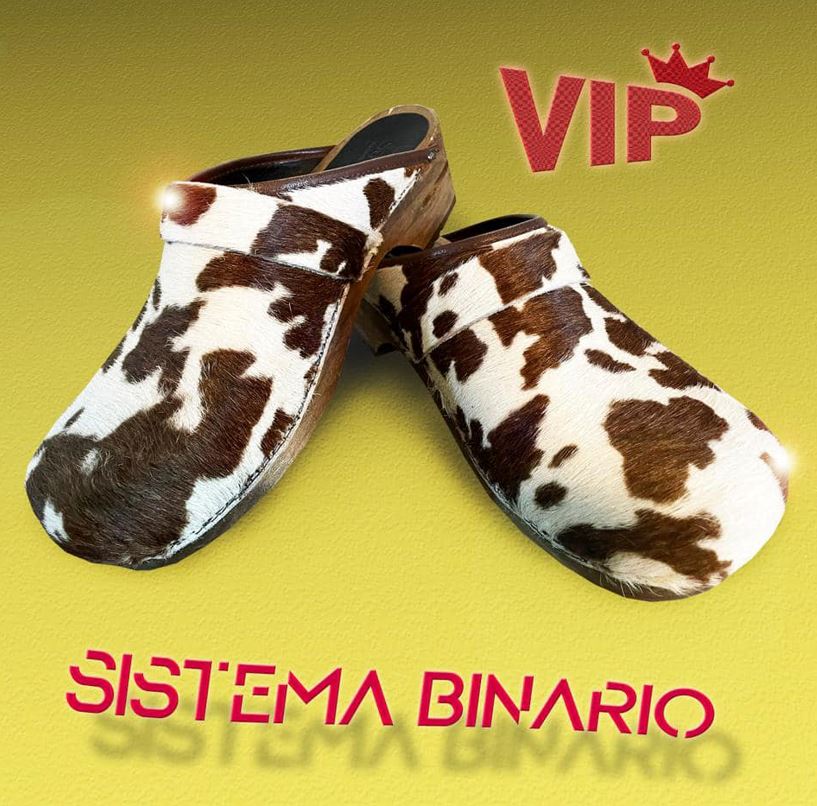 sistema binario - la copertina di vip che raffigura un paio di ciabatte crocs foderate di pelle di vacca