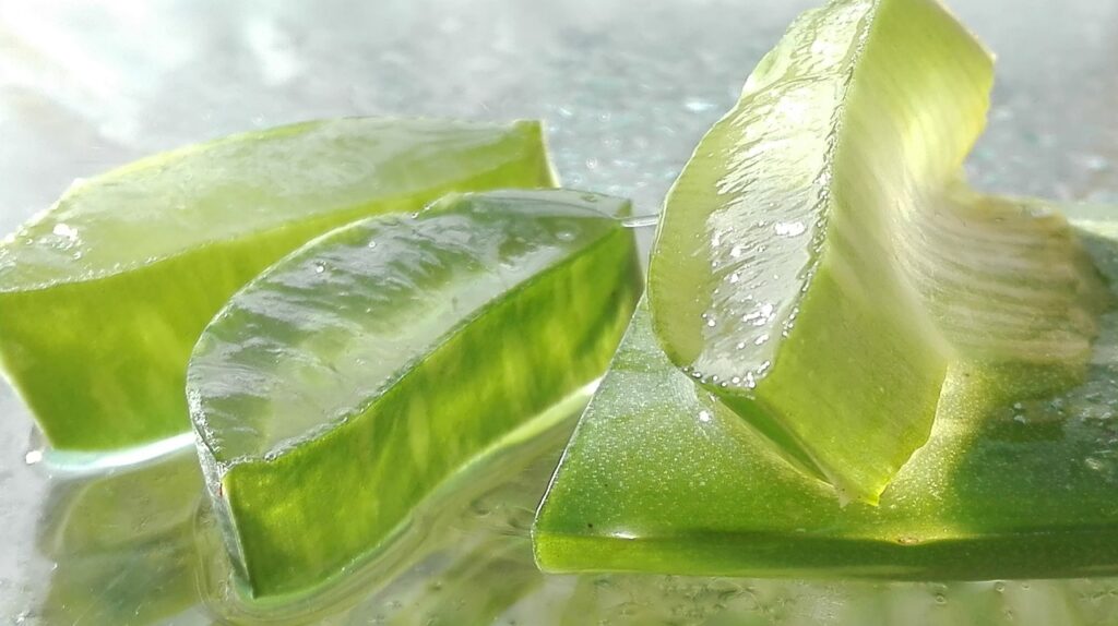 Pezzi di gel di aloe che presentano un colore verde chiaro cristallino.