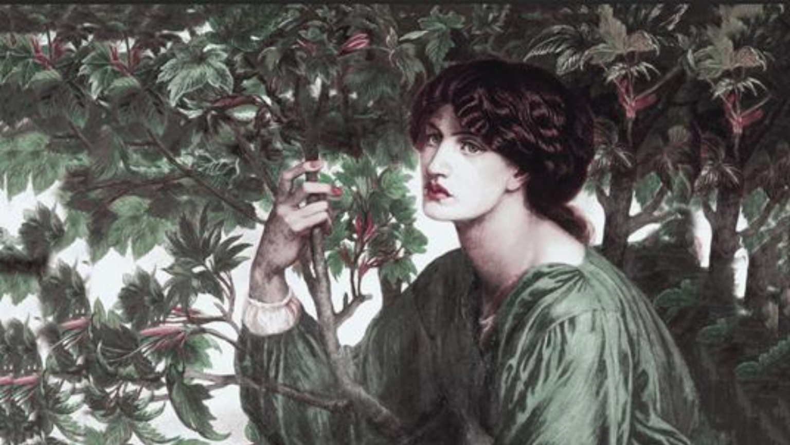 "Primavera d'Irlanda", un romanzo per il Saint Patrick Day. La copertina del libro il giovane vescovo Patrizio vestito con una tunica verde Irlanda e in mezzo a delle foglie