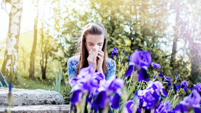 allergia stagionale stop con la medicina naturale una ragazza in un campo di fiori iris viola in prio piano si soffia il naso con un sentiero ch entra nell bosco sullo sfondo