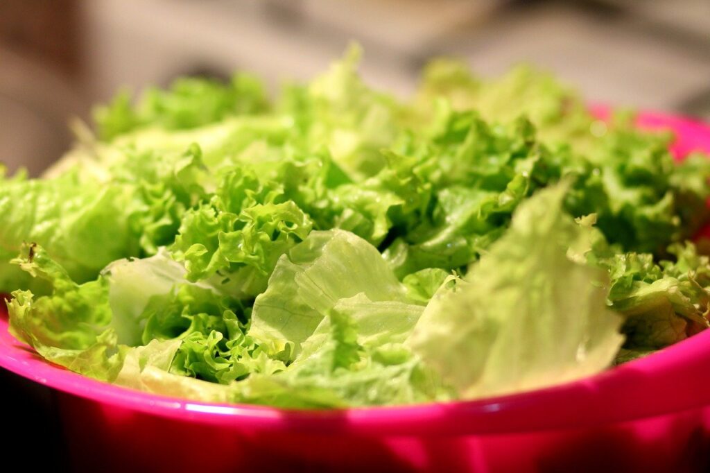 la dieta dei cinque colori - un vaso rosso con dentro dell'insalata verde