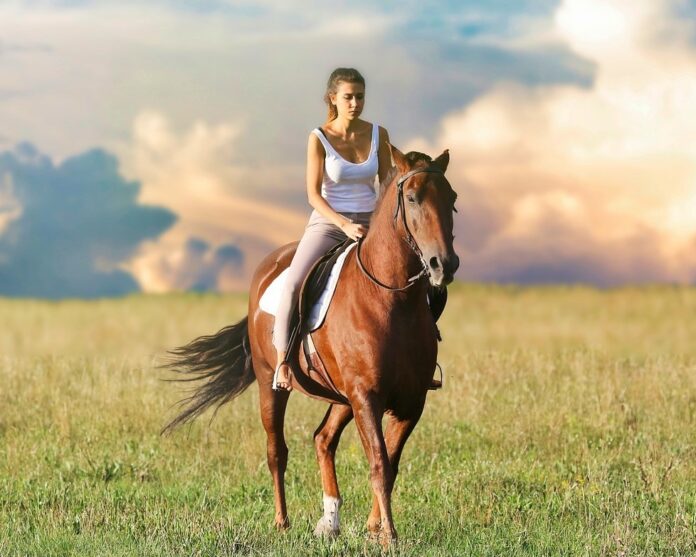 slow tourism - una ragazza bionda, che indossa jeans e canotta bianca, in sella a un cavallo marrone, in mezzo alla campagna