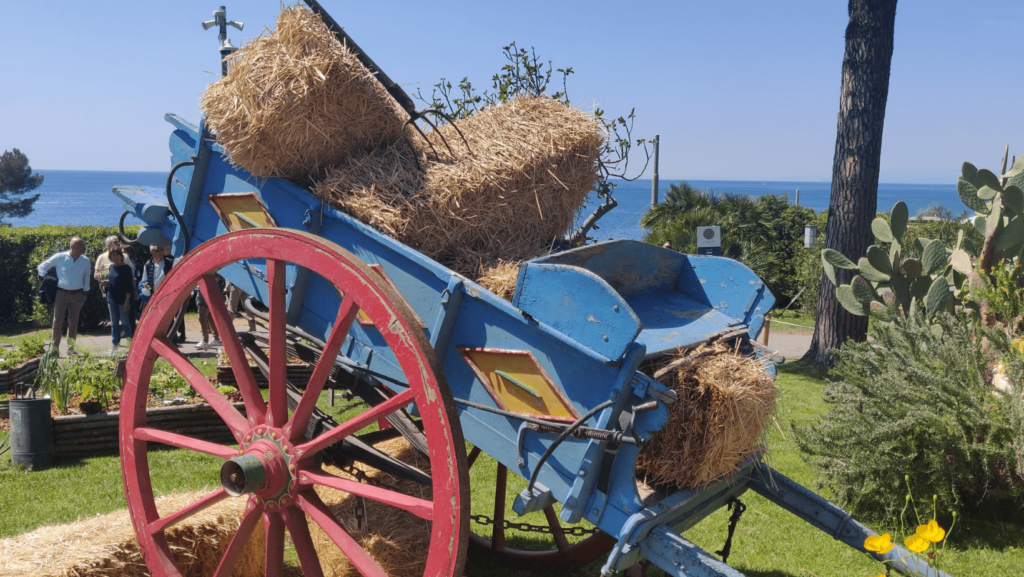 un carro da fineo rosa e blu a picco sul mare