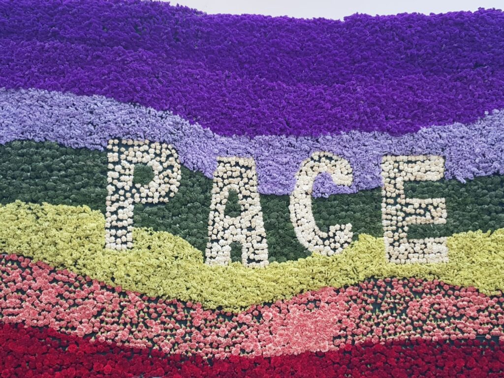Bandiera della pace realizzata con tutti fiori colorati. Al centro in bianco la scritta pace è stata realizzata con fiori bianchi. 