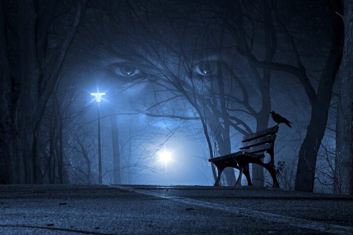 aura nebiolo - un parco di notte, una panchina e due occhi cha guardano sullo sfondo