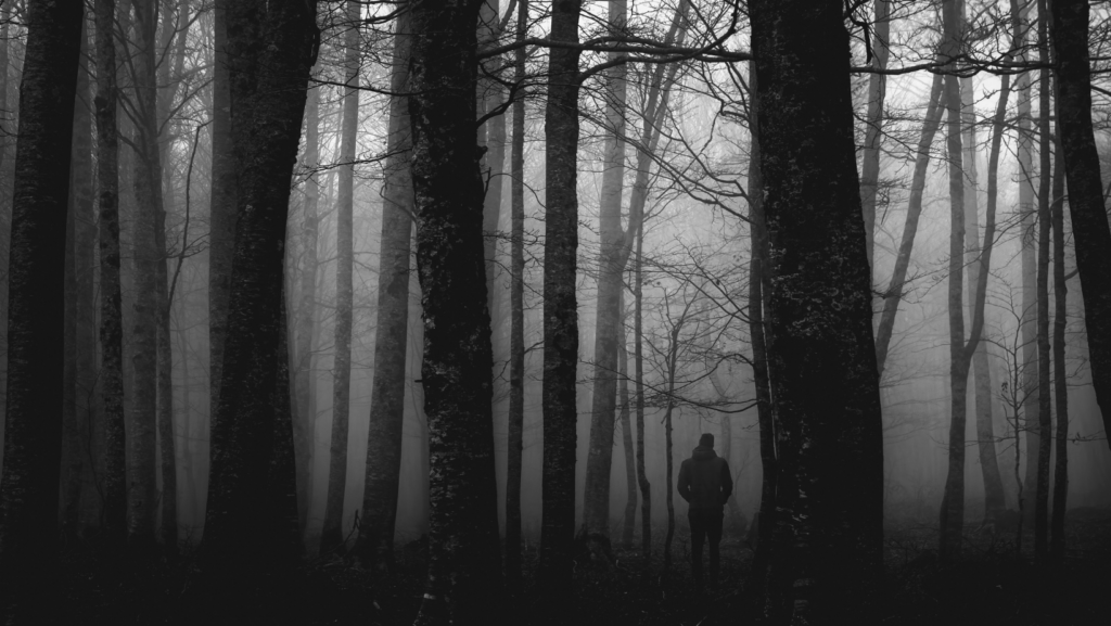 Uomo in mezzo a tronchi di alberi con nebbia bianco e nero pervaso da senso paura ansia 