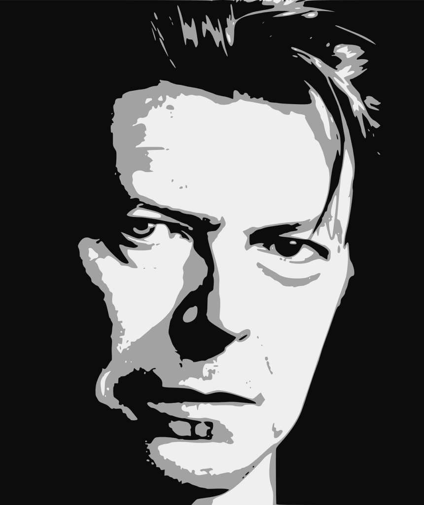 MOONAGE DAYDREAM - Bowie David in un disegno in bianco e nero. Il primo piano del suo viso