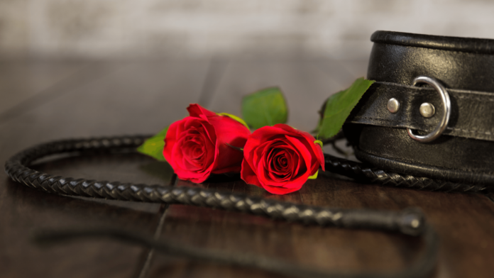 ue orse rosse con una frusta nera marchese de sade
