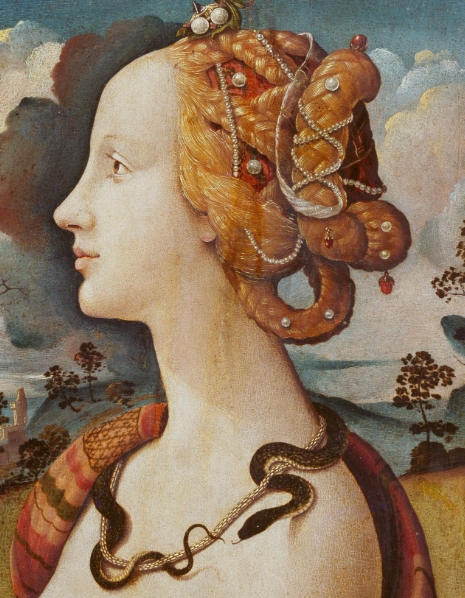 quadro di donna rinascimentale simonetta vespucci di progilo toni aranciati