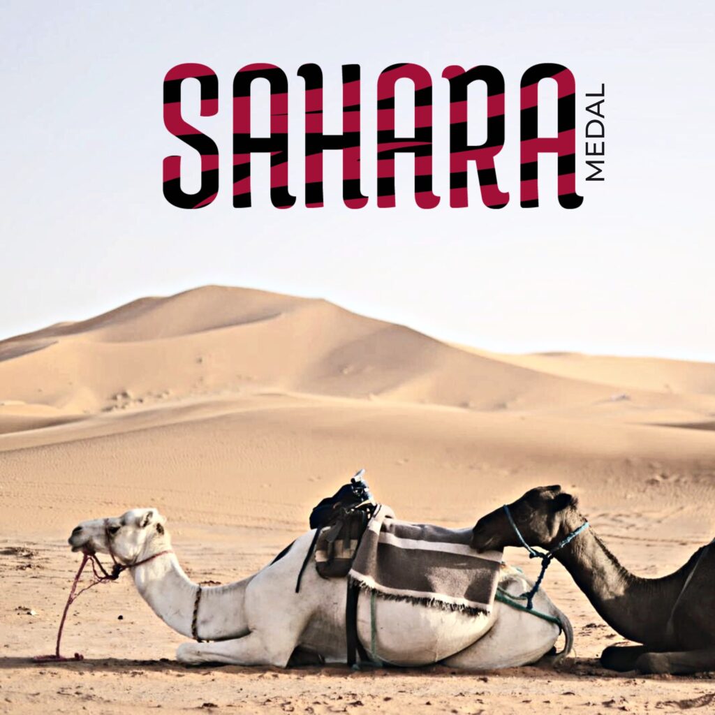 sahara - la copertina del singolo che inquaadra un cammello bianco sdraiato sulla sabbia del deserto