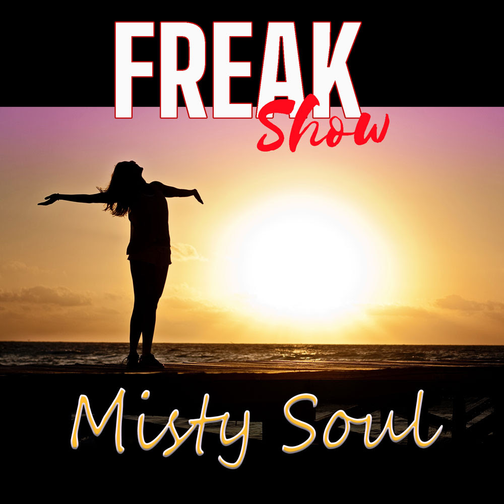 freak show - la copertina del singolo misty soul che raffigura una ragazza a braccia aperte, sulla spiaggia, al tramonto
