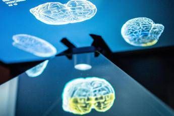 Tagliare le calorie può rallentare l’invecchiamento del cervello: ecco cosa dice lo studio