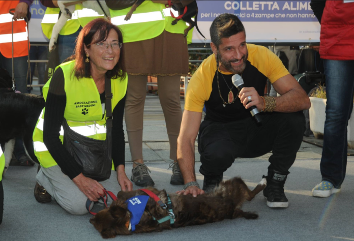 un uomo e una donna accovacciati davanti a un cucciolo di cane lupo adotta un cucciolo