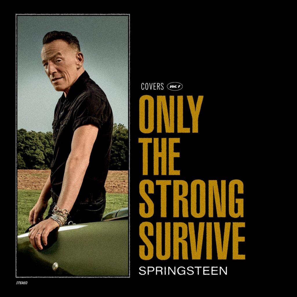 la copertina dell'album "only the strong survive"