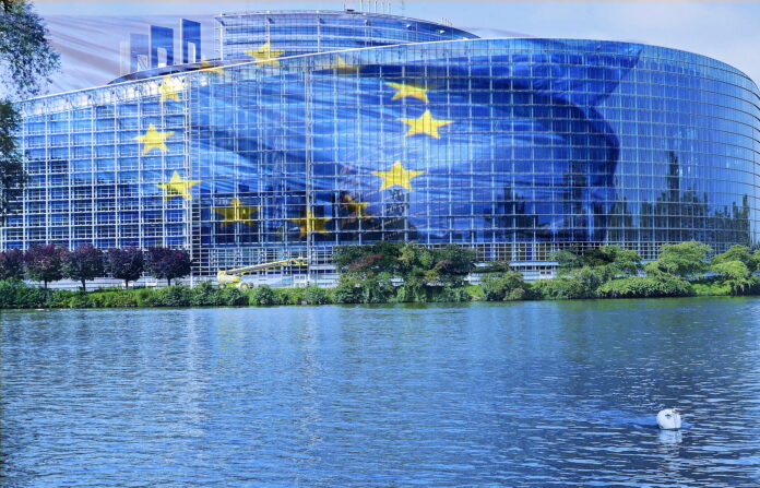 Parlamento Europeo di Strasburgo, un palazzo vetrato con linee rotonde, si affaccia sul fiume, è ombrato dalla bandiera europea, azzurra con le stelle gialle messe a cerchio
