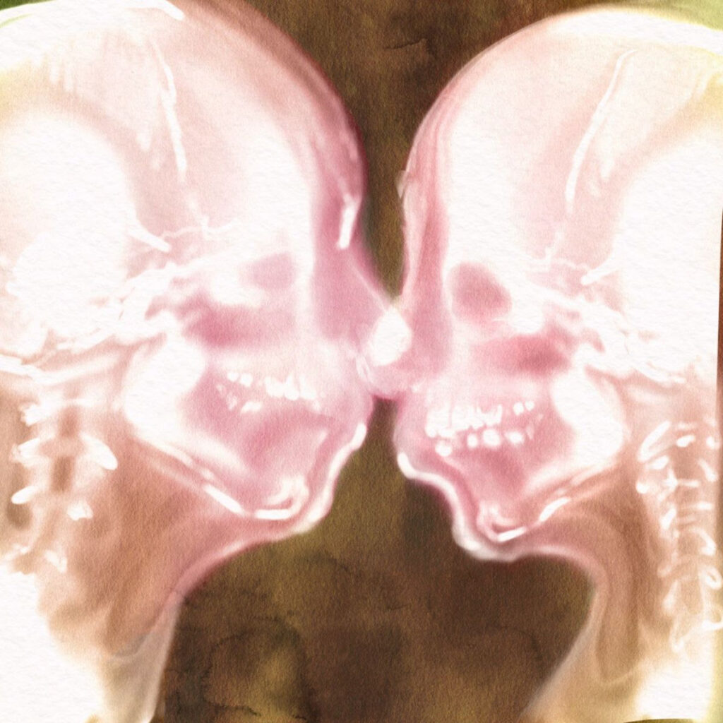il maestrale - la copertina del singolo"la cosa più naturale" che raffigura due teschi messi di fronte
