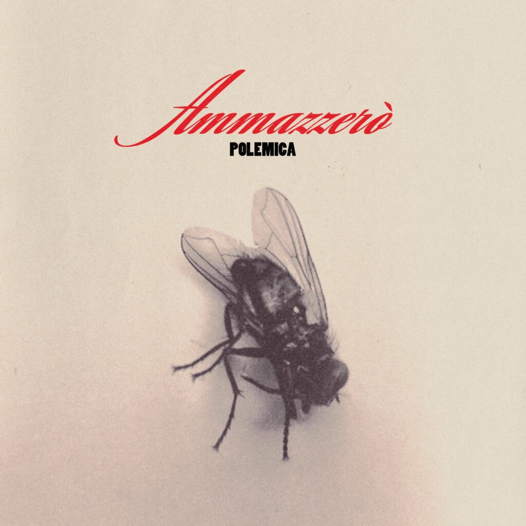 polemica - la copertina del singolo che raffigura una mosca