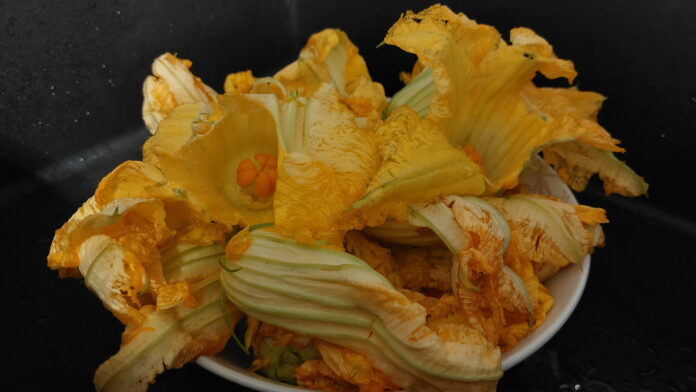 Pesticidi - dei bellissimi enormi fiori di zucca gialli con pistilli arancioni in un piatto, sfondo nero