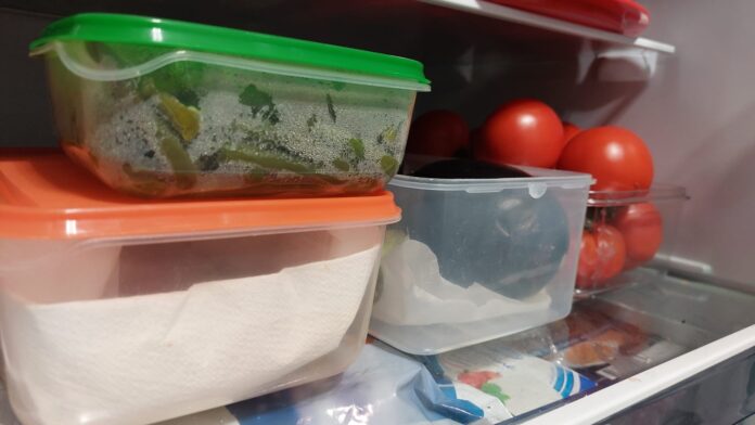 Contenitori per alimenti con delle verdure dentro, fagiolini, pomodori e melanzane