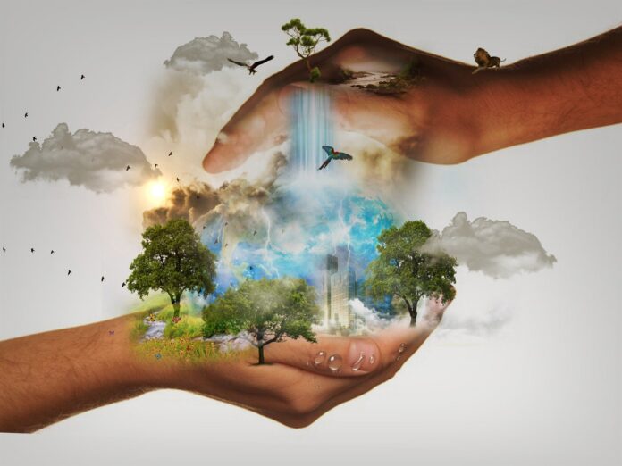 COP15 e biodiversità - nella foto due mani a conchiglia, quella di sotto regge degli alberi una cascata e degli animali, quella di sopra rivolta con il palmo all'ingiu è simbolo di protezione