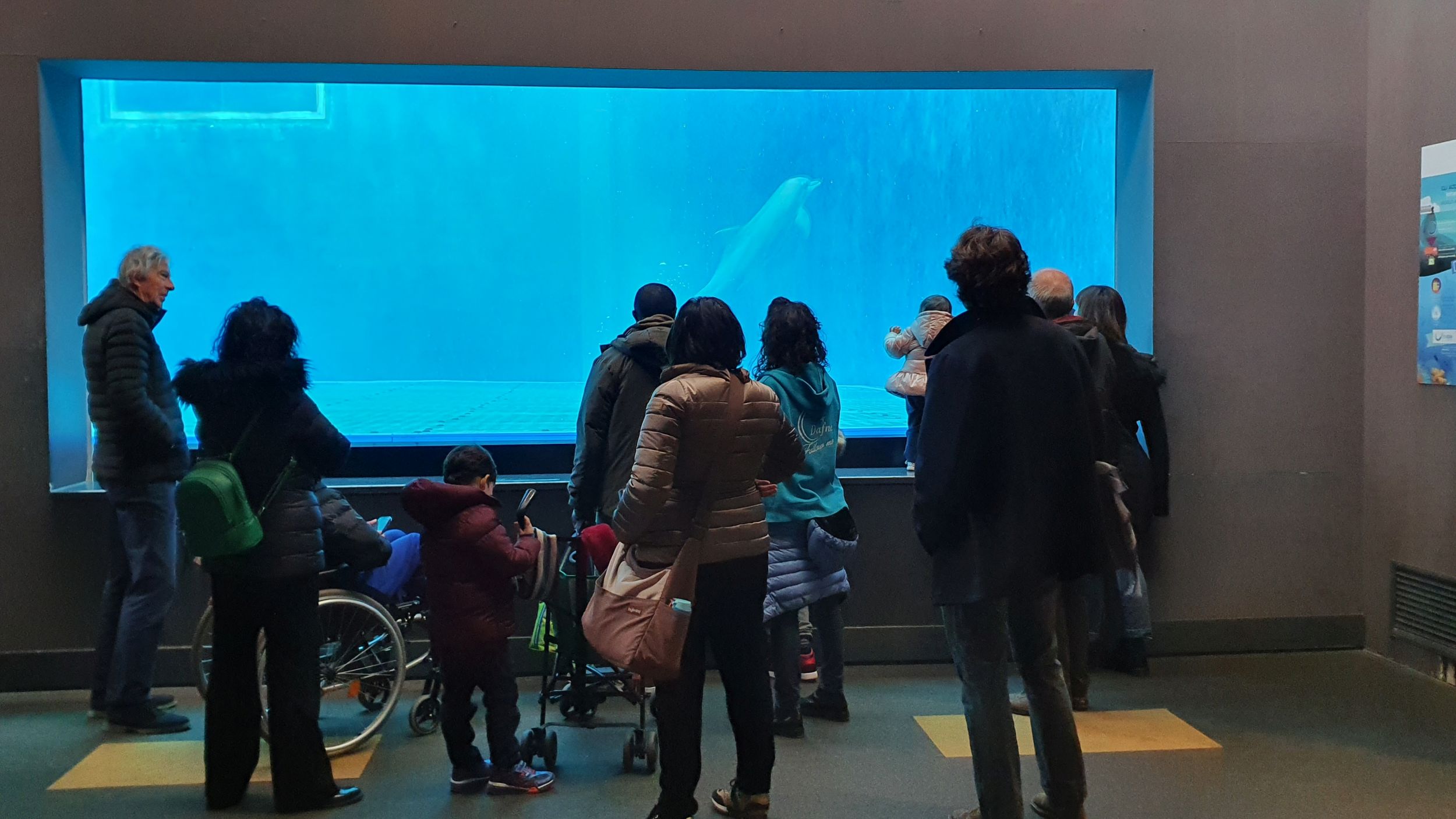Gaslini e acquario di genova - nella foto delle persone stanno guardando una vasca dell'acquario con dentro creature marine. Tra loro ci sono anche dei bambini in sedia a rotelle