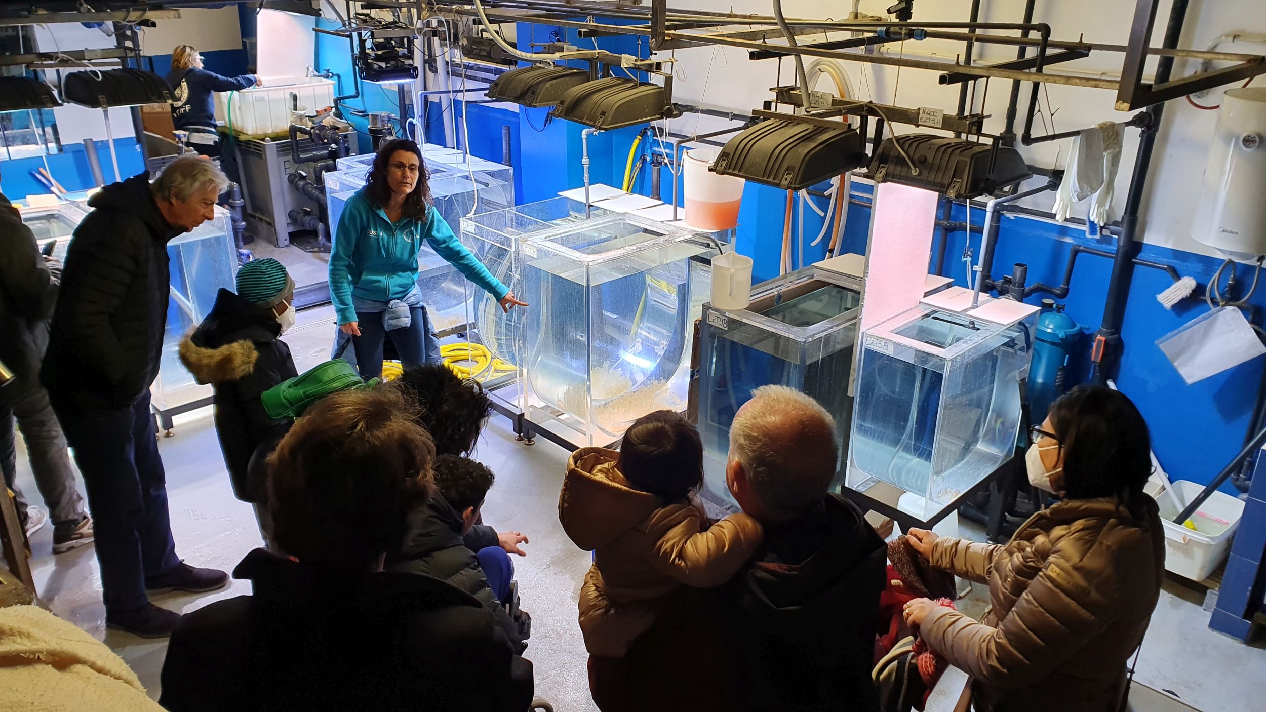 Acquario di Genova - un assitente sta spiegando ad un gruppo di persone quanto accade nelle vasche. Davanti a lei anche delle scatole di vetro in cui c'è acqua e aria