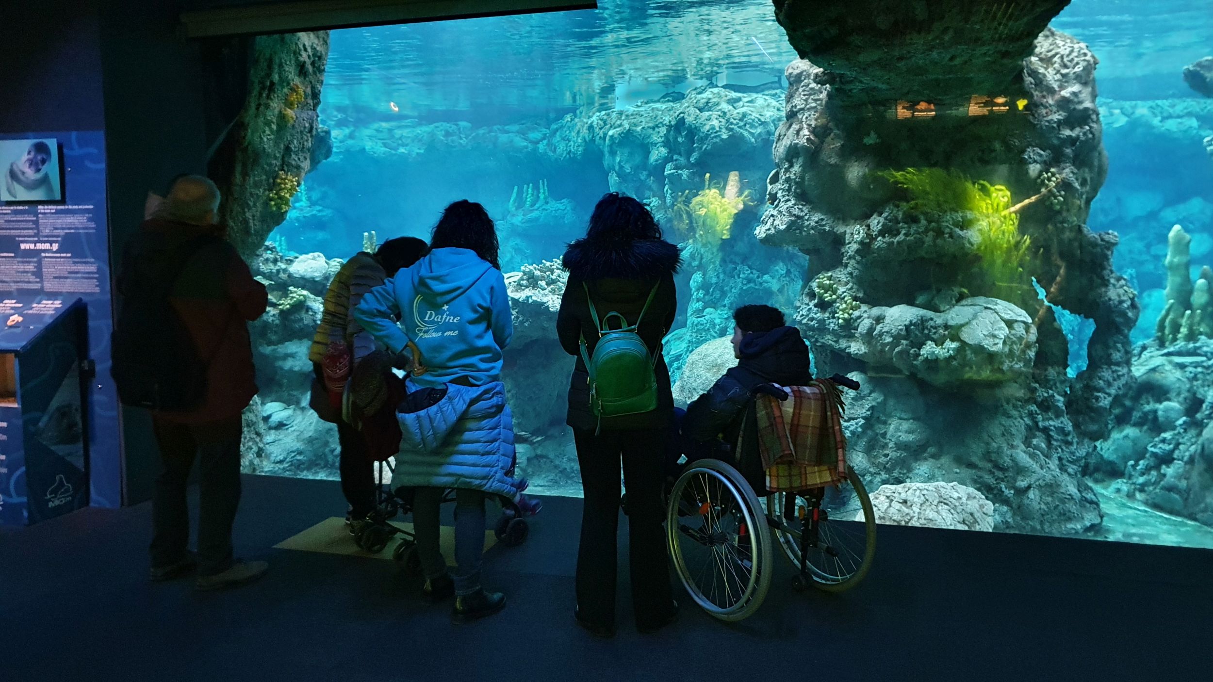 Gaslini e acquario di genova - nella foto delle persone stanno guardando una vasca dell'acquario con dentro creature marine