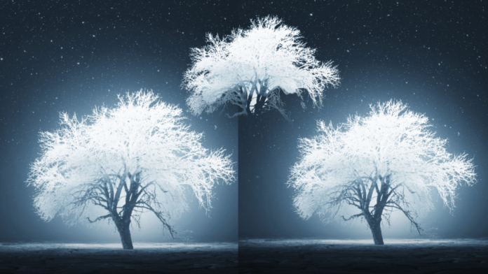 cover carrisi alberi ghiacciati in inverno al buio illuminati di luce lunare