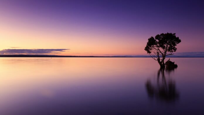 Vincenzo scrpulla - nella foto un albero sospesoall'alba tra mare e cielo arancione