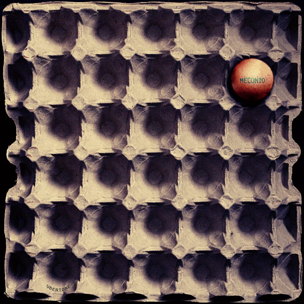 Ubertone - la copertina del nuovo album che raffigura un contenitore di cartone per le uova