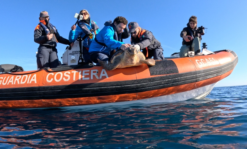 Acquario di Genova - gli uomini della guardia costiera, con giubbotti da amare blu, sono sul gommone arancione della Guardia costiera, stanno mettendo in acqua una tartaruga marina