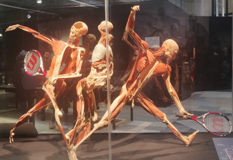 tennisti ripresi durante la fase del moviemnto con tecnica plstinazione body worlds