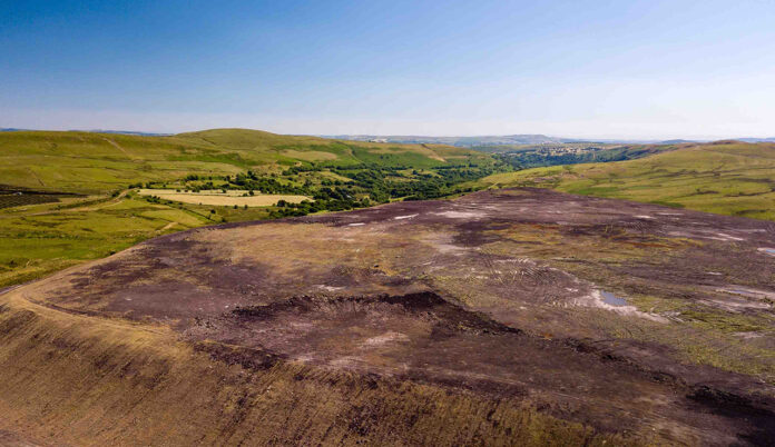 una terra bonificata ambiente discarica in una giornata serena si vedono prati d'erba crescere