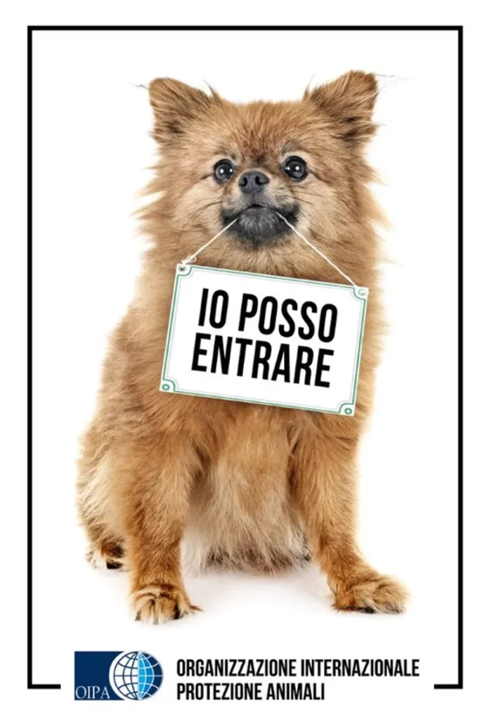 Furto di cani - nella foto un cane marrone tiene in bocca un cartello con scritto "io posso entrare"