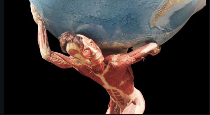 atlante corpo palstinato body worlds mostra con sopra il mondo