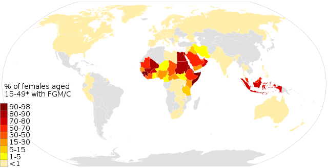 tavola 2020 su scala mondiale dell'infibulazione e mutilazione femminile 