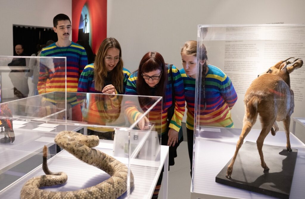 persone con maglie arcobaleno guardano teche con animali